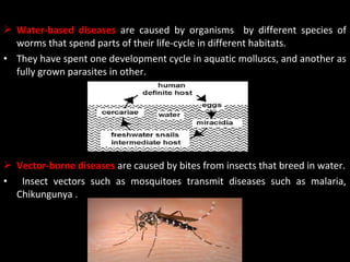  Water-based diseases are caused by organisms by different species of
  worms that spend parts of their life-cycle in different habitats.
• They have spent one development cycle in aquatic molluscs, and another as
  fully grown parasites in other.




 Vector-borne diseases are caused by bites from insects that breed in water.
• Insect vectors such as mosquitoes transmit diseases such as malaria,
  Chikungunya .
 