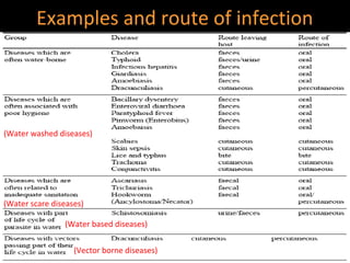 Examples and route of infection




(Water washed diseases)




(Water scare diseases)

                (Water based diseases)


                   (Vector borne diseases)
 