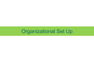 Organizational Set Up
 