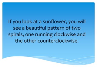If you look at a sunflower, you will
see a beautiful pattern of two
spirals, one running clockwise and
the other counterclockwise.
 