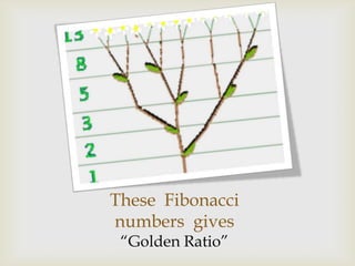 These Fibonacci
numbers gives
“Golden Ratio”
 