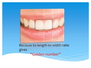 Because its length to width ratio
gives
“Golden number”
 