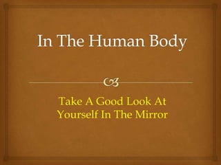 Take A Good Look At
Yourself In The Mirror
 