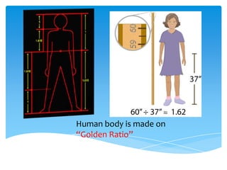 Human body is made on
“Golden Ratio”
 
