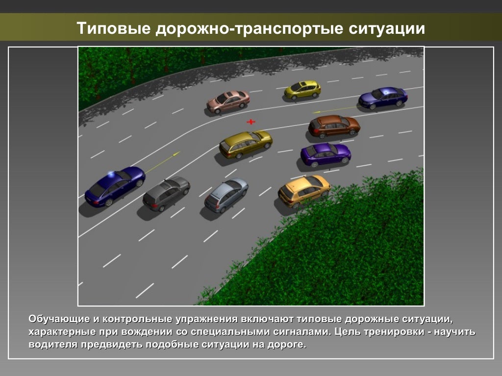Для вождения автомобиля необходимы