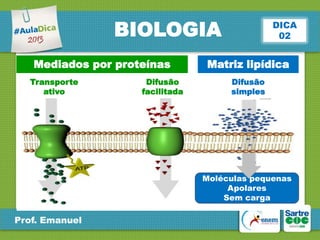 BIOLOGIA
Mediados por proteínas
Transporte
ativo

Difusão
facilitada

DICA
02

Matriz lipídica
Difusão
simples

Moléculas pequenas
Apolares
Sem carga

Prof. Emanuel

 