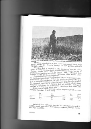 *,i,!:;; "1

*

;t

"

Medutim.

:

F*

ii'Zt

su5er

fltig fi[?1;,

gu

"

.

i'

o

"

',''fl , il, J.. f,:?:
.i,1,

Disan.jem, koi,

bici

;

r,

"j,i;

rrj";r',;:,:il:TX' #"?l i:'
"

;'.lffi j, ",'J,.,H

F -' i

%i

B

J.jl

;

n,

it

ts, i

"

il, it, j.l,,i

kao proces n asta vk a

z

i

vorir.

;;i"J.:i:, " i lli;,* " :T;;,i [u,' ii
tiiit, -C.iuici

o'i
i,ule"!e. ol'; i6-i'j'll'ili,,Tilf;i'flTfl.',,f.''""uJ
",k
izno,"
Droblieniem I
na hran'iivim marcrijama..i i:ii;i*, rakoder nasrari znarni gubici
"rigi,t^;;!., tim
to
viSe' ukoriko

nepovor'inim usrovima,.kaau
da se mnoso brze sudi

?

sc

i.

-ruscnl..'<,rbavrja u

".ii't"scl,p.evrtanie. I*io-,r'r,,. poznaro
i"il.rii.iftriiuriit..
do orpadania ovih mekih ,ri;1r."i,"'[.1i radidcga rak.trcr dorazi
su vei.inom i rr.ibogatiji
i,,',fi *luli' ;;'l'*1";', Jilia:,if ;1 "a i"* ;; i,, -",'r l, I ; i,'r; ;
",
;e

i

. t-luDlct nastali otpadanjem"lista icviicta, mollu
pnm.Jeru: (lucerka u
% suhe ,ruii]-'"'r,.
Sir
prot.
List
Stabljika

30,0

17)

Sir.

I

sc saglccltrti na

S

ir.

mast

BEl

6.4
2,4

-16,3

l-1,-5

32.4

45.6

vla k n.

ovom
Sirovi
pcpco
I I,It
6. I

Kao Sto se vidi. Iist lucerke
ima oko l0% sirovih protcina.
stabljika sadrZi samo t3.2%.
Sadrzaj sirovc ri,,k;;;.';.I#;:,_,J tlok gir
lrstu nego u stabliici.
.urnii u
5 K?MIVA

65

 