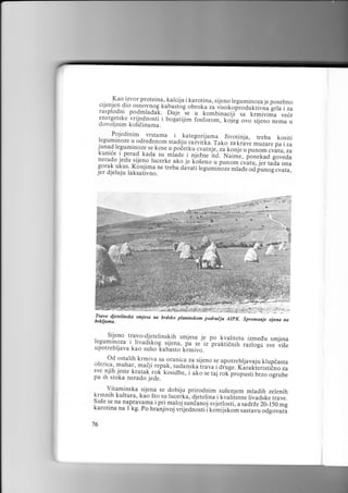 .. Kao.izvor proteina, kalcija i karotina, sijgno leguminoza je posebno
cijenjen dio osnovnog kabast"og obroka za visokoproduktivna
grra i za
-se
rasplodni podmladak.
u r<omulnaci;1-;; k;;ima veie
.Daje
e.nergetske.vrijednosti i bogatijim fosforom, koj'.g
;"; ;^ij.ro n.n,u ,
dovoljnim kolidinama.
.

Pojedinim vrstama i..kategorijama Zivotinja,

treba kositi
Ieguminoze u odredenom stadiju ,uziii],Ju,ruxo
zakravL -rru.. pa i za
junad leguminoze se kose u pod"tt u
.;;t"j., z1 konje u punom
kuniie i perad kada su. mrade i n;ezne- ita. Nulni.,*i."."tracvatu, za
goveda
nerado jedu
lucerke ako je r.os"ro u punom cvatu,
-s-ijeno
ier tada ima
gorak ukus. Koniima ne treba davati regumin';;i";;;';i,nog.uuru,

jer djeluju laksativno.

r...:, :direj:ib#lireiaEu:ar:!.f:i1=aF_-i:1rir:,i,

d. t:BA]ii1,,$:-,Ii,:l+,-,.,,: *rt "
"

tj ' :., -

Travo djetelinska smiesa na brdsko praninskom podrucju
AIpK. Spremanje sijena na
brkljama.

Sijeno travo-djeterinskih smjesa je po kvalitetu
izmedu smjesa
leguminoza i livads.kog srjena, pa s.'ir'pr"ili;;;;'"r;;il;"
sve vise
upotrebljava kao suho kabasto-krmivo.

od ostalih krmiva sa oranica za sijeno se upotrebljavaju
krupdasta
ostric.a., muhar, madji repak, traunit aiiava
i aruge. riia[ie.is titno za
jeste kratak rok^ kosidbe, i ulo
sve njih
r. taj rok propusti brzo
pa ih stoka nerado jede.

ogrube

,-__ Ylr?-jnska .sijena se dobiju prirodnim su5enjem mladih zelenih
Krmnrh kurtura, kao Sto su lucerka, djeterina i kvaliietne rivadske
trave.
Su.e se na napravam3 i pr.l maloj sundanol!";.!1orii,;;;;'zo_rso.r!
karorina na I kg. po hranjivoj viileanoiti it.iri:rt.ilr"rt;;;
odgovara
76

 