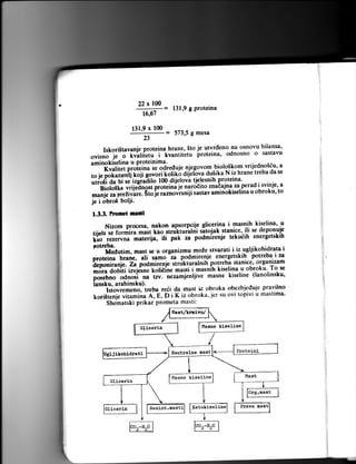 22

x

100

131,9 g Proteina

fr-=
l3l9 x 100

n

=

573,5gmesa

je utvrdeno na osnovu bilansa'
Iskori5tavanje proteina hrane, 5to
kvantitetu proteina, odnosno o sastavu

"riri"-1"'-J-[n""ri["t, .i
aminokiselina u Protelnlma'
'""' iiuf ii.i pi.[i iri'r"' oare-{-ule njego vom biolo5 ko m vrijedno36u' a
hrane treba da se
to i. ,o["r"iJtj r"ji s.;;; k;iik;dij':i9ya dusika N iz
pro tei n a.
i,Ii"sI a'i-ti r.' iei"iilo I 00 dijel ova tjele sni h
rad i svinje, a
i

Bioloska rri; eonirilpr-"t"i ni I J nurdri to znaEaing.za.pe u obroku, to
.#;;;;;riir'"r..'St, ie raznorrsniji sastav aminokiselina
je i obrok bolji'
1.3.3. Prornet

nerll

u
Nizom procesa' nakon apsorpcije glicerina- i t"ltl,',lliselina'uje
il i se de pon
djed ;; 1; #i; ;;it'Ie. ;i*'[tur-"r tii s;t ojak stanice,
kro rezervna mer;;ij;, if p"k za podmirenje tekudih energetskih
potreba'
i
Medutim, mast se u organlzmu mo Lestvarati i iz ugljikohidrata
potreba.i za
podmirenje energetskih
trrarie, atl-;;;;
"r"t"in"
[ep"nioni.. Za podmirenje strukturalnih notreba stanrce, organlzam
i*iJrn"'I"tllin"-matti i masnih kiselina u obroku' To se
-"ezamjenljive
;;;;;ili -odnori
masne kiseline (lanolinsku,
n, ii".
;.b*

iansku, arahinsku).

Istovremeno,trebaredidamastizobrokaobezbjedujepravilno

u mastima'
koristenje vii"ri""-a, f' O i k iz obroka,.ier su ovi topivi
maslr:
Shematski Prikaz Prometa

Hagae

kiseline

Proteini

liasne kiseline

Ketokiseliae

 