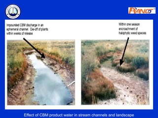 Effect of CBM product water in stream channels and landscape
 