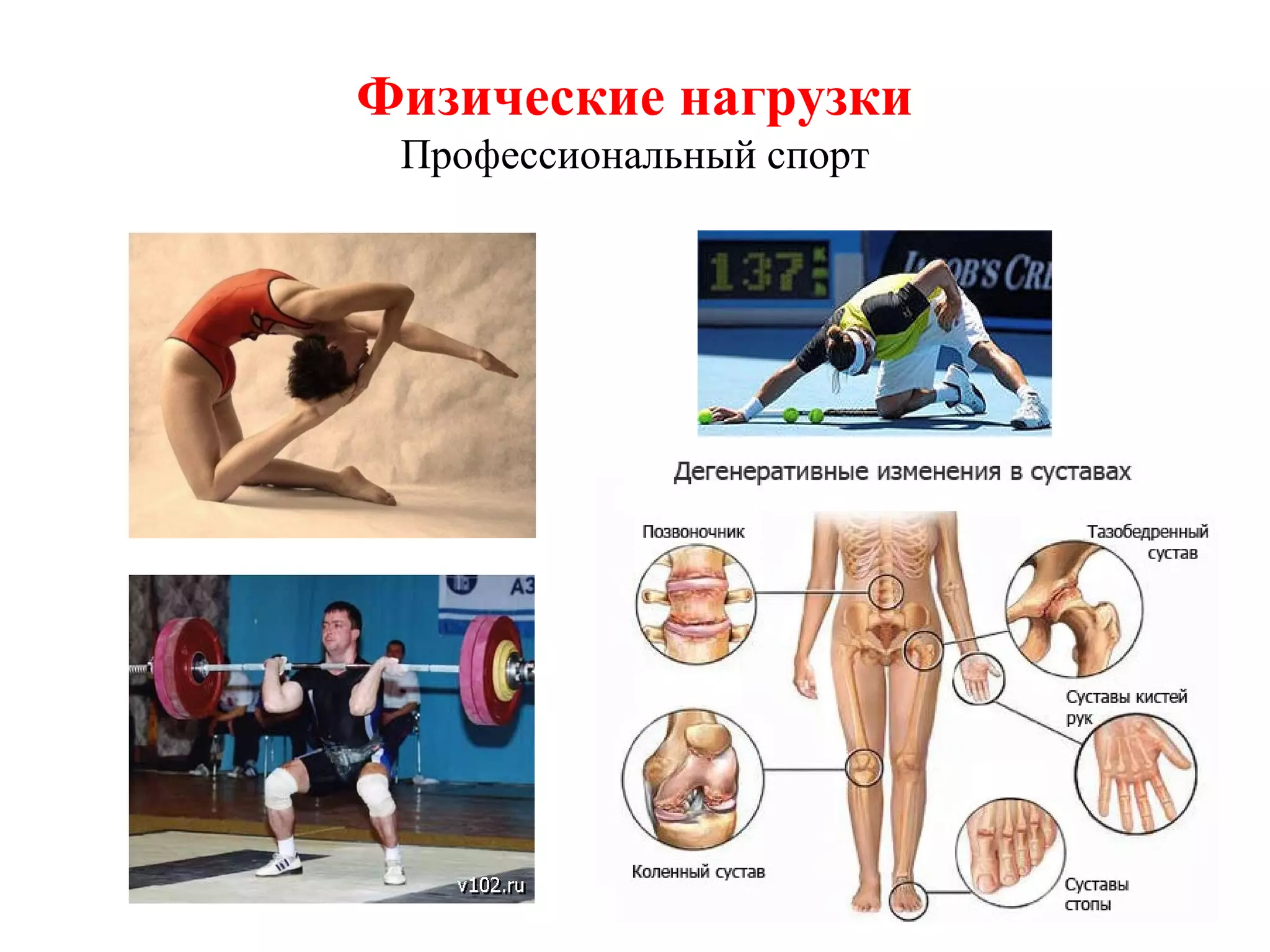 Физические нагрузки
Профессиональный спорт

 