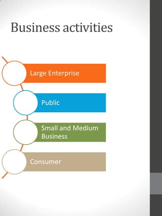 Business activities

Large Enterprise

Public
Small and Medium
Business

Consumer

 