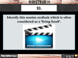 Identify this marine mollusk which is often
considered as a ‘living fossil’.
10.
 
