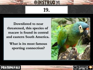 Downlisted to near
threatened, this species of
macaw is found in central
and eastern South America.
What is its most famous
sporting connection?
19.
 