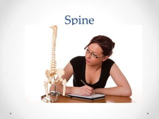 Spine
 