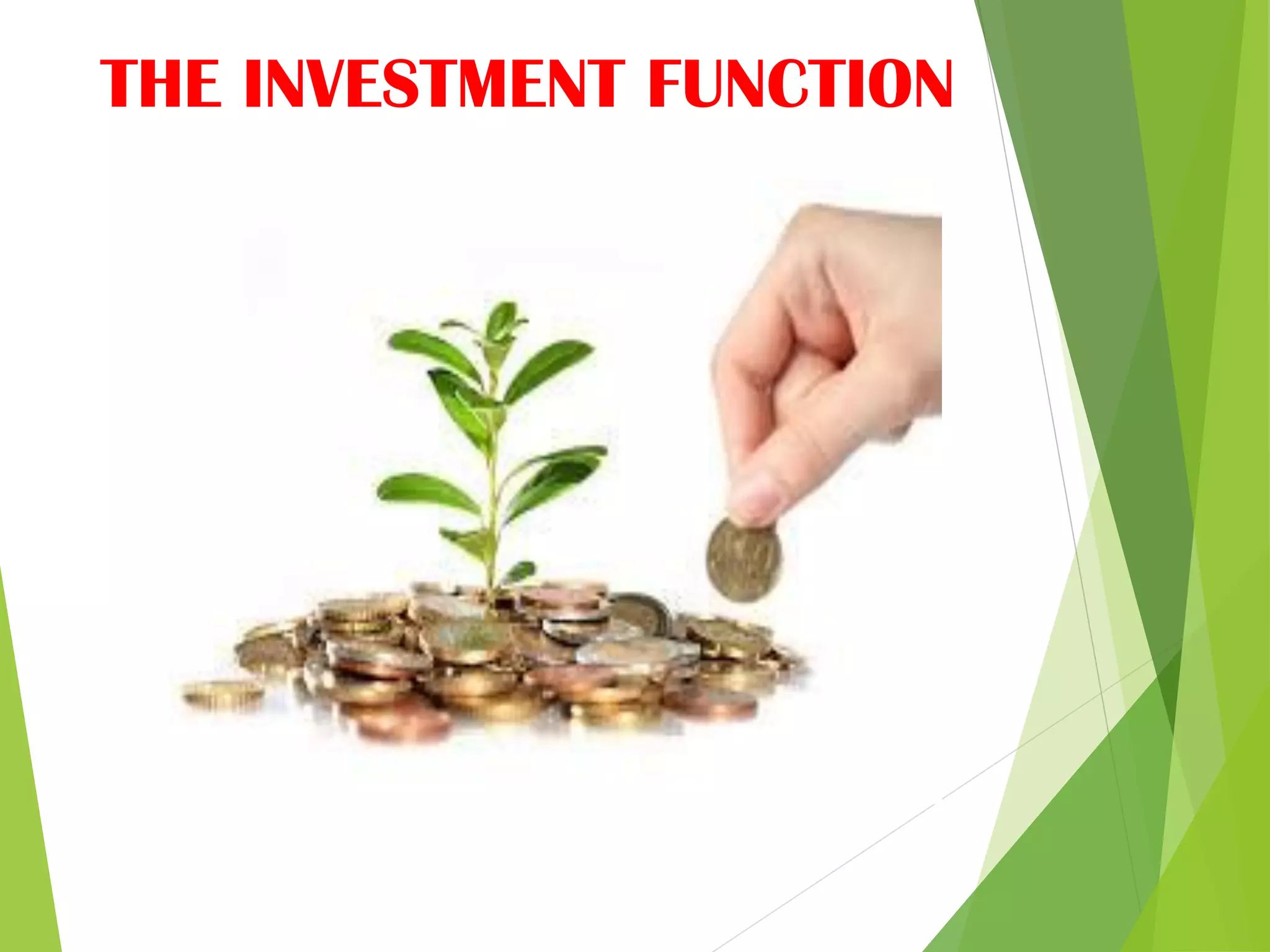 THE INVESTMENT FUNCTION
 