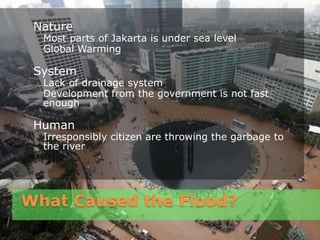 What Caused the Flood?
Nature
◦ Most parts of Jakarta is under sea level
◦ Global Warming
System
◦ Lack of drainage system
◦ Development from the government is not fast
enough
Human
◦ Irresponsibly citizen are throwing the garbage to
the river
 