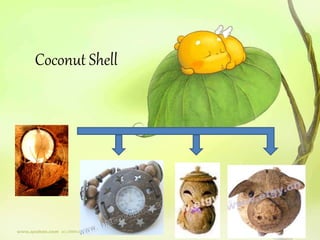 Coconut Shell 
 