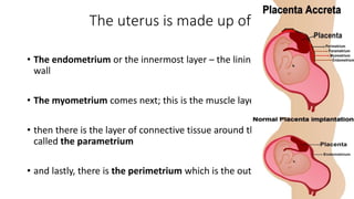 The uterus is made up of four layers: 
• The endometrium or the innermost layer – the lining of the uterine 
wall 
• The myometrium comes next; this is the muscle layer of the uterus 
• then there is the layer of connective tissue around the uterus 
called the parametrium 
• and lastly, there is the perimetrium which is the outermost layer 
 