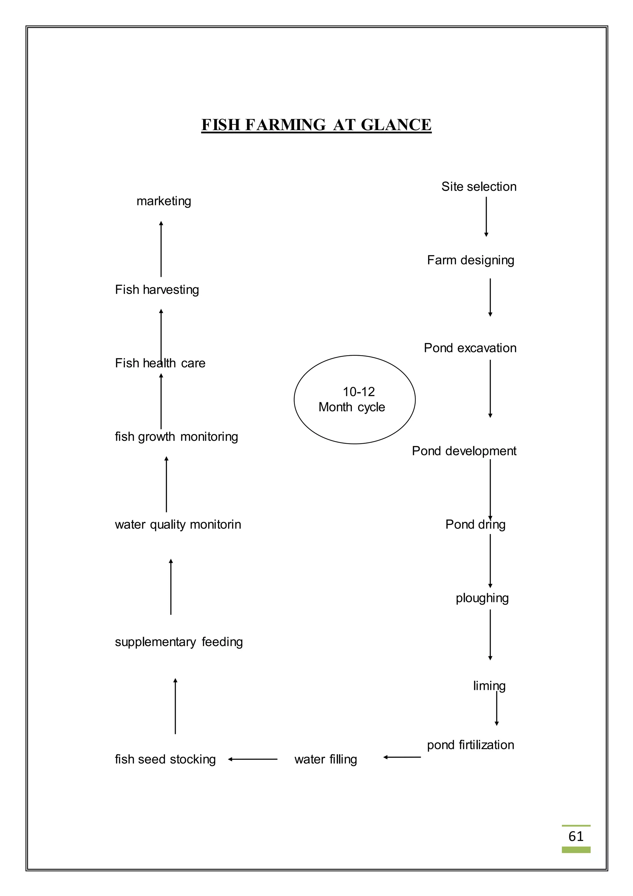 61 
FISH FARMING AT GLANCE 
Site selection 
marketing 
Farm designing 
Fish harvesting 
Pond excavation 
Fish health care 
10-12 
Month cycle 
fish growth monitoring 
Pond development 
water quality monitorin Pond dring 
ploughing 
supplementary feeding 
liming 
pond firtilization 
fish seed stocking water filling 
 