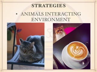 STRATEGIES 
• ANIMALS INTERACTING 
ENVIRONMENT 
 