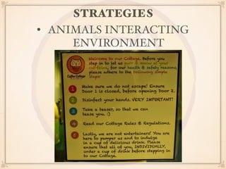 STRATEGIES 
• ANIMALS INTERACTING 
ENVIRONMENT 
 