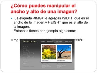  La etiqueta <IMG> le agregas WIDTH que es el
ancho de la imagen y HEIGHT que es el alto de
la imagen.
Entonces tienes por ejemplo algo como:
<img src='image.jpg' width='250' height='250'>
 