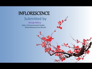 INFLORESCENCE
Submitted by
Arnab Mitra
Dept. of Environmental Studies,
Siksha-Bhavana,Visva-Bharati
 