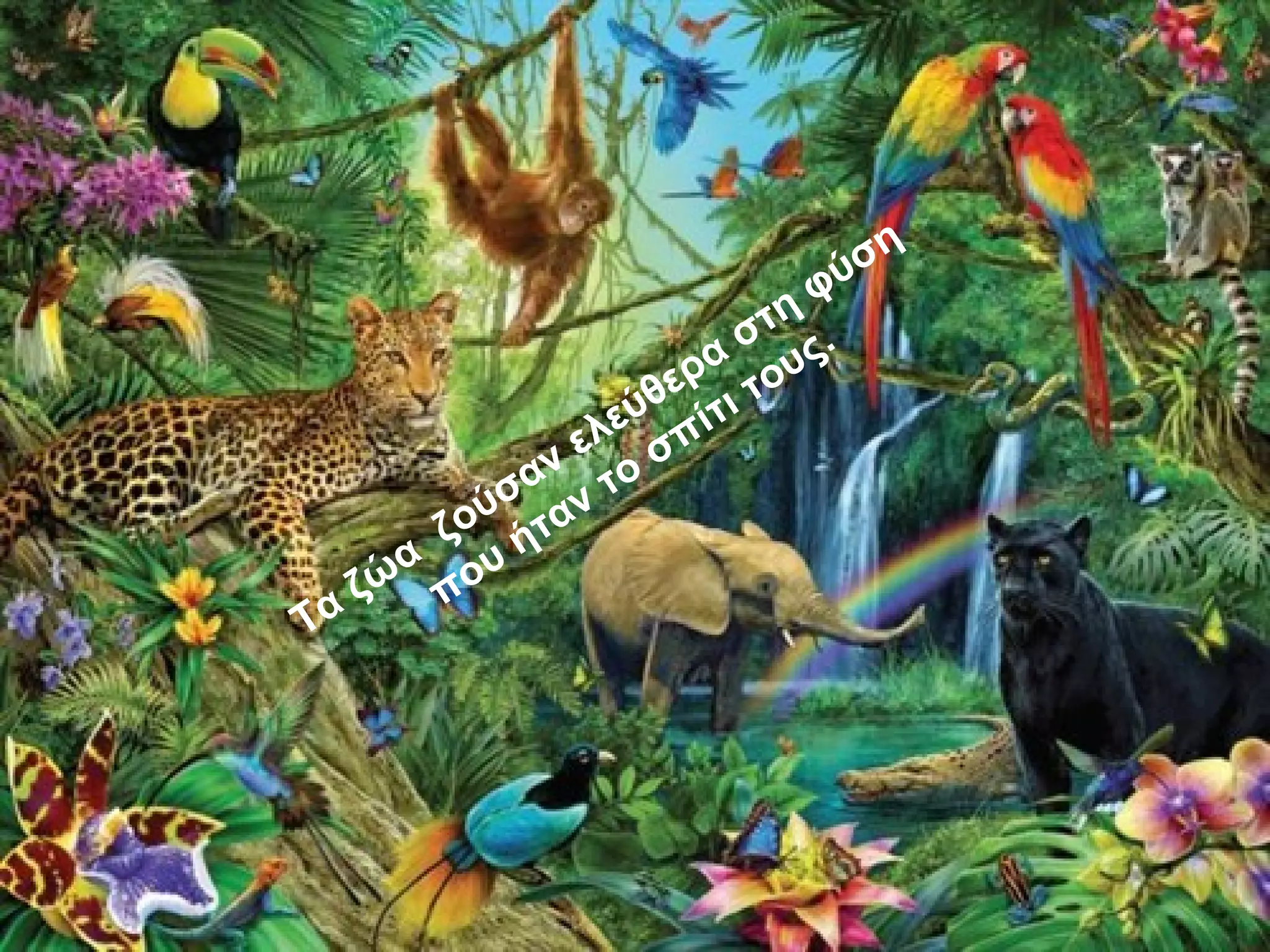 Τα ζώα
ζούσαν ελεύθερα στη φύση
που ήταν το σπίτι τους.
 