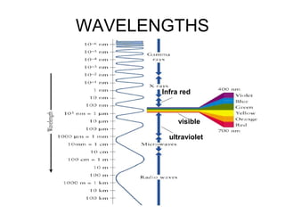 WAVELENGTHS
Infra red
visible
ultraviolet
 