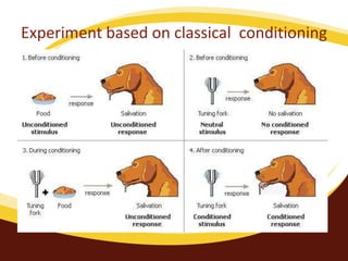 Experiment based on classical conditioning
 