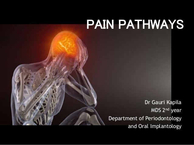 Pain pathways Biology Diagrams