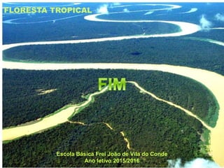 Escola Básica Frei João de Vila do Conde
Ano letivo 2015/2016
FLORESTA TROPICAL
 