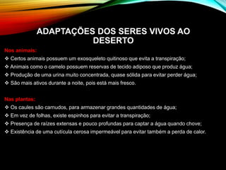 ADAPTAÇÕES DOS SERES VIVOS AO
DESERTO
Nos animais:
 Certos animais possuem um exosqueleto quitinoso que evita a transpiração;
 Animais como o camelo possuem reservas de tecido adiposo que produz água;
 Produção de uma urina muito concentrada, quase sólida para evitar perder água;
 São mais ativos durante a noite, pois está mais fresco.
Nas plantas:
 Os caules são carnudos, para armazenar grandes quantidades de água;
 Em vez de folhas, existe espinhos para evitar a transpiração;
 Presença de raízes extensas e pouco profundas para captar a água quando chove;
 Existência de uma cutícula cerosa impermeável para evitar também a perda de calor.
 