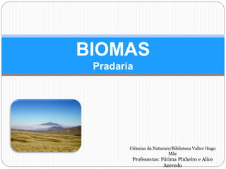 BIOMAS
Pradaria
Ciências da Naturais/Biblioteca Valter Hugo
Mãe
Professoras: Fátima Pinheiro e Alice
Azevedo
 