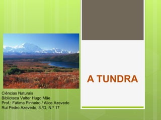A TUNDRA
Ciências Naturais
Biblioteca Valter Hugo Mãe
Prof.: Fátima Pinheiro / Alice Azevedo
Rui Pedro Azevedo, 8.ºD, N.º 17
 