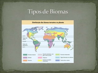 http://dorareviewschool.pbworks.com/w/page/18104153/Biomas%20do%20Mundo
 
