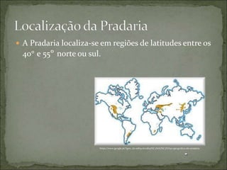 A Pradaria localiza-se em regiões de latitudes entre os
40º e 55º norte ou sul.
https://www.google.pt/?gws_rd=ssl#q=localiza%C3%A7%C3%A3o+geografica+da+pradaria
 