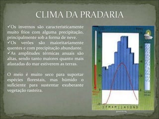 geoescola.org
Os invernos são caracteristicamente
muito frios com alguma precipitação,
principalmente sob a forma de neve.
Os verões são maioritariamente
quentes e com precipitação abundante.
As amplitudes térmicas anuais são
altas, sendo tanto maiores quanto mais
afastadas do mar estiverem as terras.
O meio é muito seco para suportar
espécies florestais, mas húmido o
suficiente para sustentar exuberante
vegetação rasteira.
 