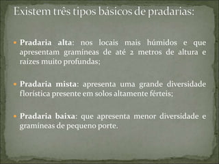  Pradaria alta: nos locais mais húmidos e que
apresentam gramíneas de até 2 metros de altura e
raízes muito profundas;
 Pradaria mista: apresenta uma grande diversidade
florística presente em solos altamente férteis;
 Pradaria baixa: que apresenta menor diversidade e
gramíneas de pequeno porte.
 