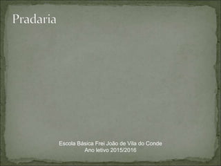 Escola Básica Frei João de Vila do Conde
Ano letivo 2015/2016
 