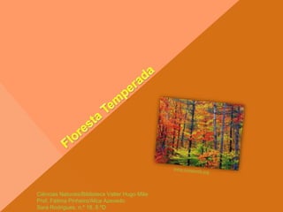 Ciências Naturais/Biblioteca Valter Hugo Mãe
Prof. Fátima Pinheiro/Alice Azevedo
Sara Rodrigues, n.º 18, 8.ºD
 