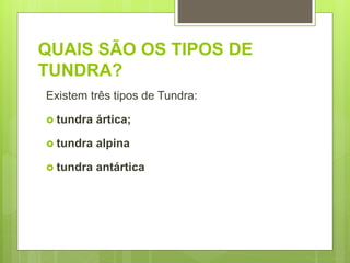 QUAIS SÃO OS TIPOS DE
TUNDRA?
Existem três tipos de Tundra:
 tundra ártica;
 tundra alpina
 tundra antártica
 