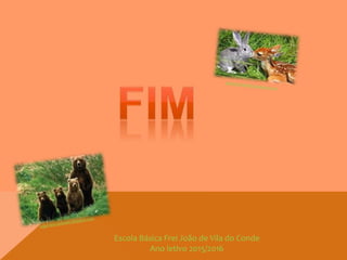Escola Básica Frei João de Vila do Conde
Ano letivo 2015/2016
 