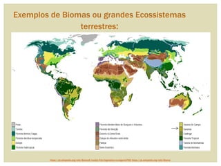 Exemplos de Biomas ou grandes Ecossistemas
terrestres:
https://pt.wikipedia.org/wiki/Bioma#/media/File:Vegetation-no-legend.PNG https://pt.wikipedia.org/wiki/Bioma
 