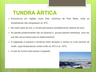 TUNDRA ÁRTICA
 Encontra-se em regiões muito frias, próximas do Polo Norte, onde as
temperaturas não ultrapassam os -6ºC;
 Na maior parte do ano, a Tundra permanece completamente coberta de neve.
 As plantas predominantes são os líquenes e poucas plantas herbáceas, uma vez
que têm pouco tempo para se desenvolverem.
 A vegetação é esparsa e divide-se entre lamaçais e rochas no curto período de
verão, cujas temperaturas variam entre os -6ºC e os -10ºC;
 O solo da Tundra está sempre congelado.
 