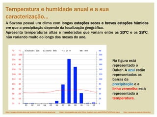 Temperatura e humidade anual e a sua
caracterização…
A Savana possui um clima com longas estações secas e breves estações húmidas
em que a precipitação depende da localização geográfica.
Apresenta temperaturas altas e moderadas que variam entre os 20ºC e os 28ºC,
não variando muito ao longo dos meses do ano.
Na figura está
representado o
Dakar. A azul estão
representadas as
barras da
precipitação e a
linha vermelha está
representada a
temperatura.
http://images.climate-data.org/location/1664/climate-graph.png https://pt.wikipedia.org/wiki/Clima_tropical_com_esta%C3%A7%C3%A3o_seca http://savana.no.sapo.pt/clima.htm
 