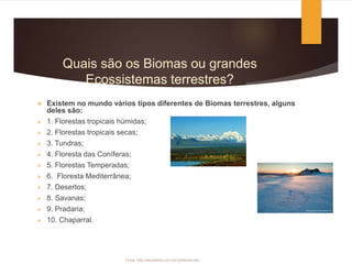 Quais são os Biomas ou grandes
Ecossistemas terrestres?
 Existem no mundo vários tipos diferentes de Biomas terrestres, alguns
deles são:
 1. Florestas tropicais húmidas;
 2. Florestas tropicais secas;
 3. Tundras;
 4. Floresta das Coníferas;
 5. Florestas Temperadas;
 6. Floresta Mediterrânea;
 7. Desertos;
 8. Savanas;
 9. Pradaria;
 10. Chaparral.
Fonte: http://escolakids.uol.com.br/bioma.htm
 