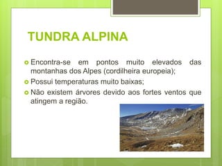 TUNDRA ALPINA
 Encontra-se em pontos muito elevados das
montanhas dos Alpes (cordilheira europeia);
 Possui temperaturas muito baixas;
 Não existem árvores devido aos fortes ventos que
atingem a região.
 