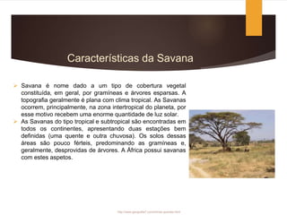Características da Savana
 Savana é nome dado a um tipo de cobertura vegetal
constituída, em geral, por gramíneas e árvores esparsas. A
topografia geralmente é plana com clima tropical. As Savanas
ocorrem, principalmente, na zona intertropical do planeta, por
esse motivo recebem uma enorme quantidade de luz solar.
 As Savanas do tipo tropical e subtropical são encontradas em
todos os continentes, apresentando duas estações bem
definidas (uma quente e outra chuvosa). Os solos dessas
áreas são pouco férteis, predominando as gramíneas e,
geralmente, desprovidas de árvores. A África possui savanas
com estes aspetos.
http://www.geografia7.com/climas-quentes.html
 